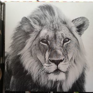 Meet your Posher, Todd